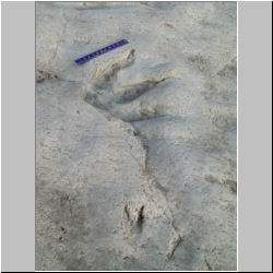 100_0464 (2009-26-07)m.JPG